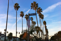 Counseling, Psychotherapy, Coaching, Celebrities, Artists, Social Justice, Mental Health,
